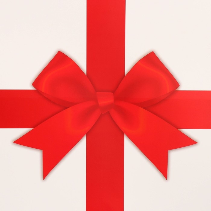 Пакет подарочный квадратный, упаковка, Red, 40 х 40 х 40 см