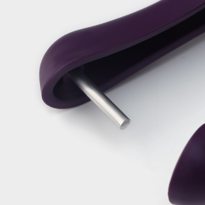 Удалитель косточек Доляна «Ловкач», цвет фиолетовый Удалитель косточек Доляна «Ловкач», цвет фиолетовый