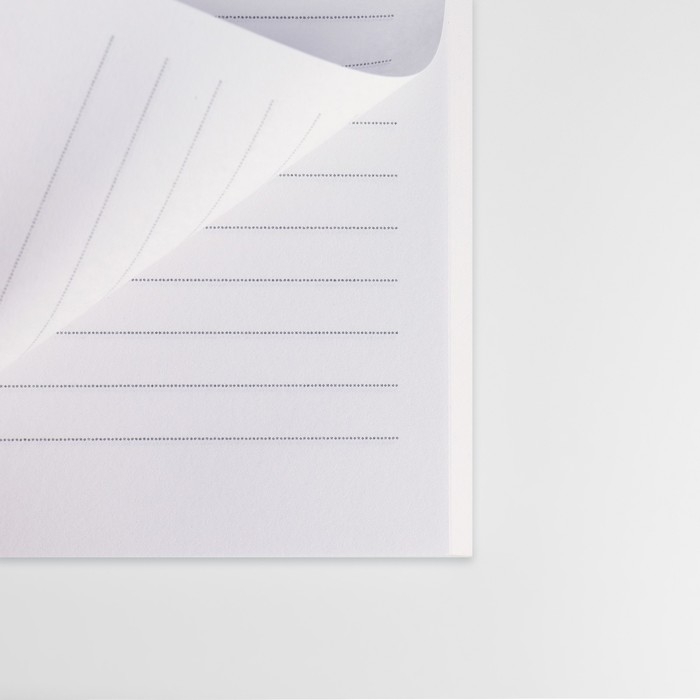 Подарочный набор в портфеле: ежедневник А5, магнитные закладки и ручка &laquo;Для тех, у кого лапки&raquo;