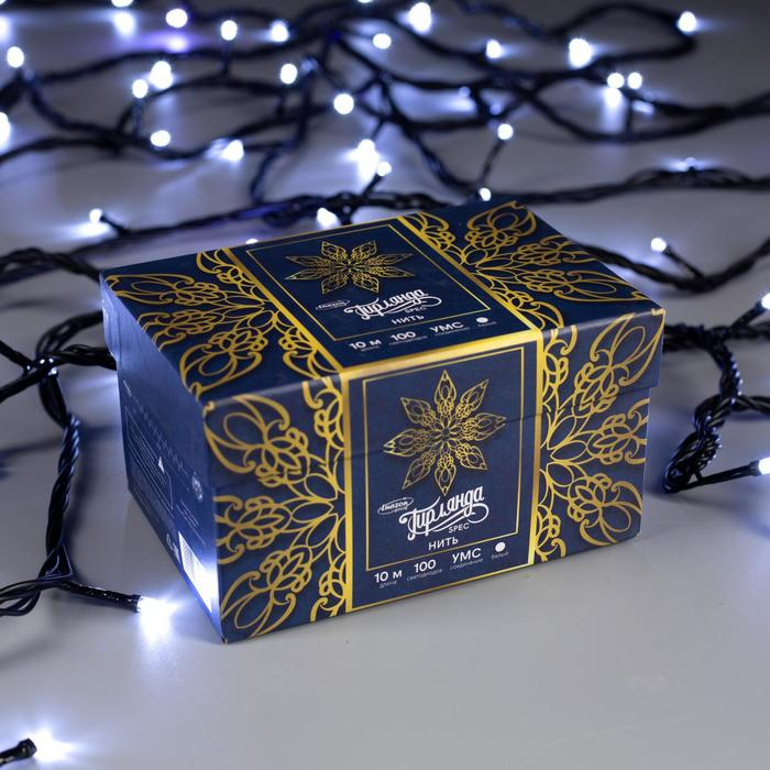 Гирлянда &laquo;Нить&raquo; 10 м, IP44, УМС, тёмная нить, 100 LED, свечение белое, мерцание белым, 220 В