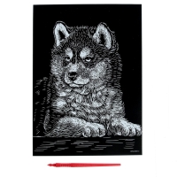 Гравюра &laquo;Щенок хаски&raquo; с металлическим эффектом &laquo;серебро&raquo; А4