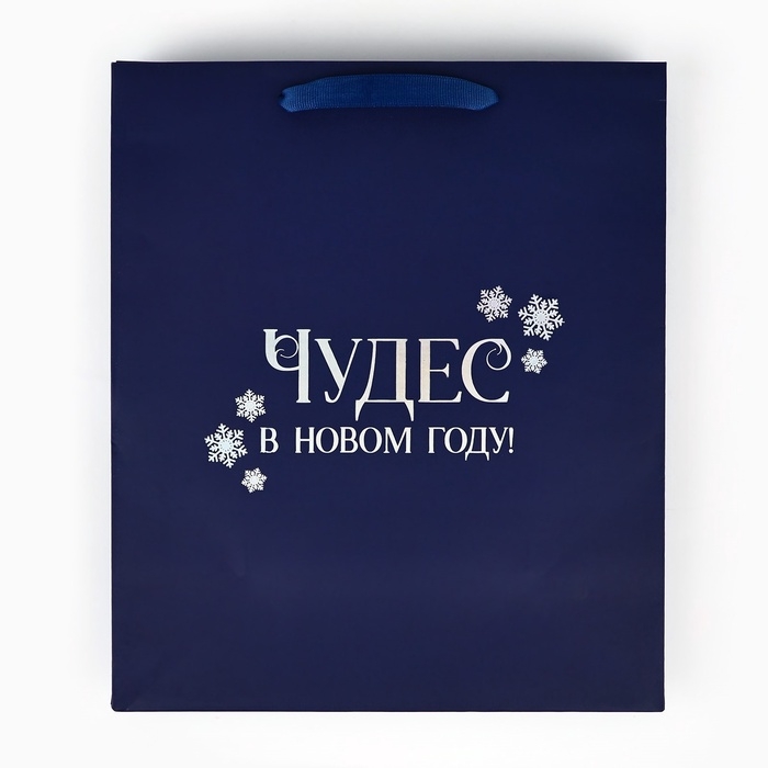 Пакет подарочный новогодний &laquo;Чудес в Новом году&raquo;, голография, ML 23 х 11.5 х 27 см, Новый год