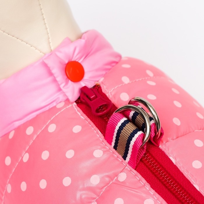 Комбинезон для собак Комбинезон для собак "Горошек", размер 22 (ДС 48, ОГ 54, ОШ 38 см), розовый