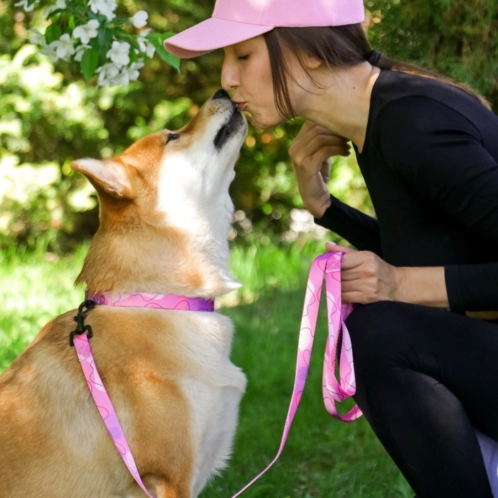 Набор &laquo;Нежность&raquo;, застёжка - фастекс, поводок 2 м и ошейник 28-46 см