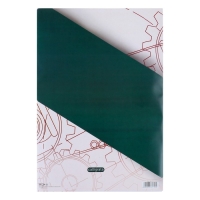 Папка для черчения А3 10 листов Calligrata, 420 х 310 мм, блок 160 м² Папка для черчения А3 10 листов Calligrata, 420 х 310 мм, блок 160 м²