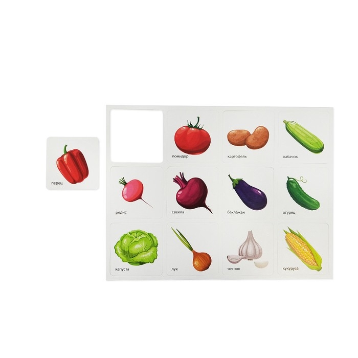 Настольная развивающая игра &laquo;Умный сортер &laquo;Фрукты, ягоды, овощи, грибы&raquo;