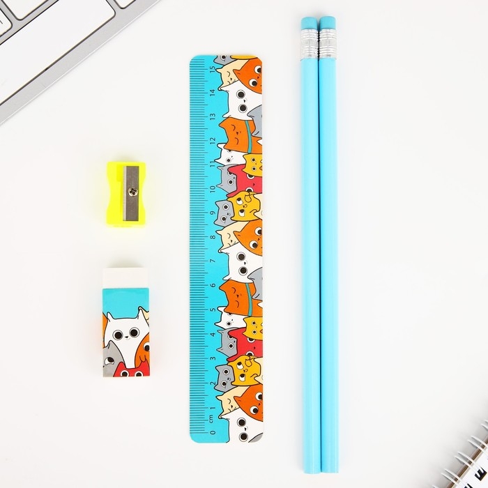 Подарочный набор &laquo;Кото-Подарочный набор&raquo;, 5 предметов