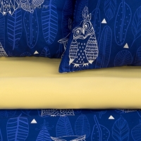 Постельное бельё "Этель" дуэт Ушастые совы (вид 3) 143 х 215 см - 2 шт., 220 х 240 см, 70 х 70 см - 2 шт