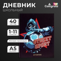 Дневник универсальный для 1-11 классов, Street Sport, твердая обложка 7БЦ, матовая ламинация, тиснение фольгой, 40 листов Дневник универсальный для 1-11 классов, Street Sport, твердая обложка 7БЦ, матовая ламинация, тиснение фольгой, 40 листов