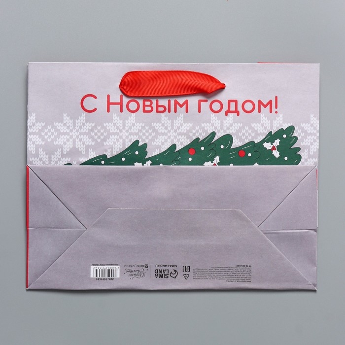 Пакет подарочный новогодний крафтовый горизонтальный &laquo;Спешу к тебе&raquo;, MS 23 х 18 х 10 см, Новый год