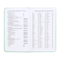 Планинг карманный недатированный, 80 листов, 100 х 170мм, deVENTE.Elizabeth, твердая обложка кожзам с поролоном, хлястик, блок 70, зеленый