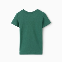 Футболка для мальчика, цвет зелёный, рост 176 см