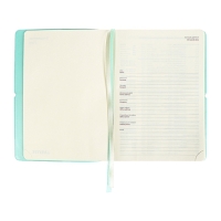 Ежедневник недатированный A5 136 листов, deVENTE. Jane, мягкая обложка пвх, резинка, перфорация, ляссе, блок 70, бирюзовый