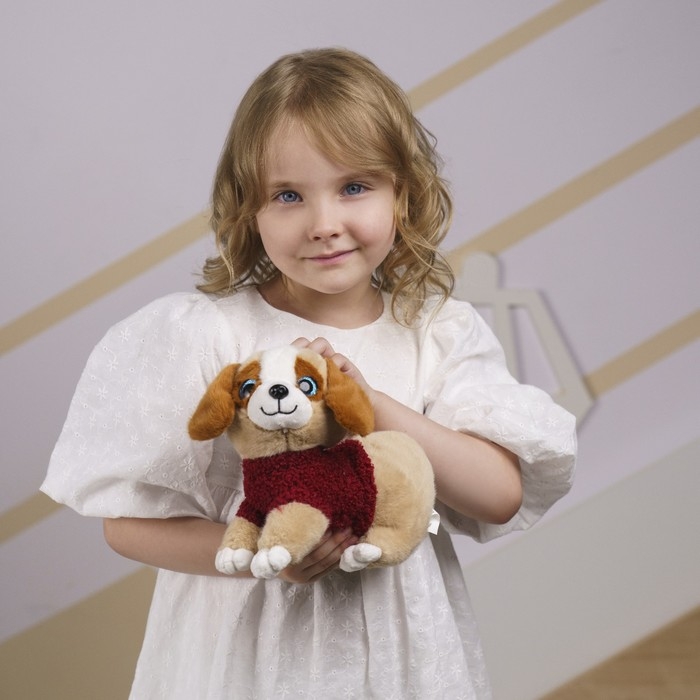 Мягкая игрушка «Собачка в будке» Мягкая игрушка «Собачка в будке»