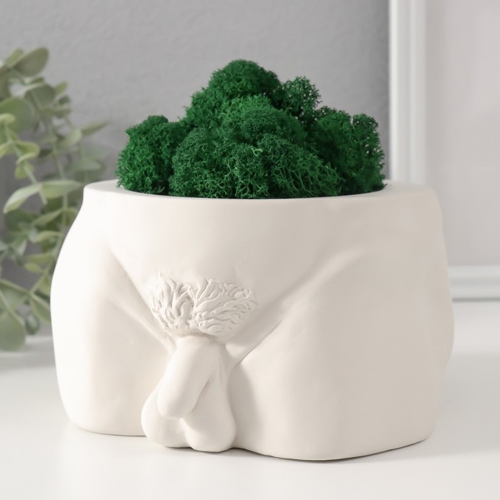 Кашпо бетонное "Достоинство" со мхом высота 10 см,ширина 17 см белый (мох зеленый стабилиз)