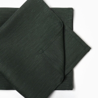 Набор сервировочных салфеток с декоративными кольцами Этель Green 40х40 см - 2 шт, 100% лён Набор сервировочных салфеток с декоративными кольцами Этель Green 40х40 см - 2 шт, 100% лён