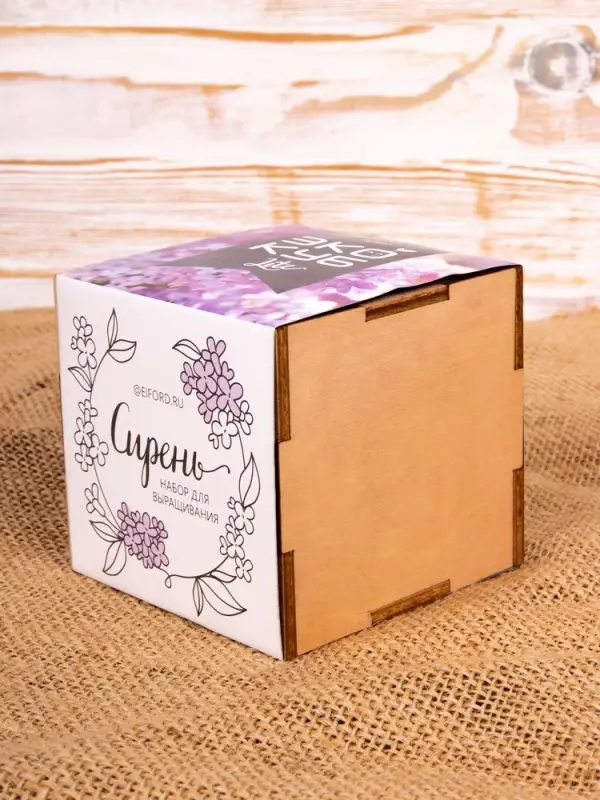 Набор для выращивания &laquo;Экокуб Lite&raquo;, сирень