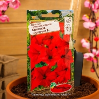 Семена цветов Петуния Суперкаскадная Красная шапочка F1, О, 10шт Семена цветов Петуния Суперкаскадная Красная шапочка F1, О, 10шт