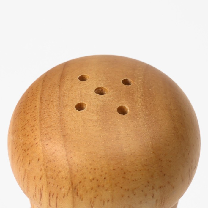 Набор для специй Доляна &laquo;Комфорт&raquo;, 2 предмета: мельница и солонка