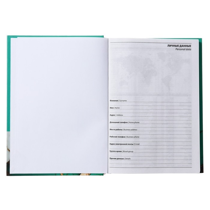 Ежедневник недатированный на сшивке А5 160 листов, картон 7БЦ, матовая ламинация, фольга "Мрамор бирюз. Коллаж"