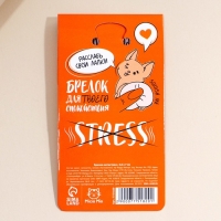 Брелок мялка антистресс «Возьми меня на ручки» 4.6 х 7 см Брелок мялка антистресс «Возьми меня на ручки» 4.6 х 7 см