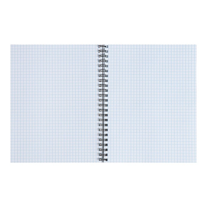 Тетрадь 80 листов в клетку на гребене Secret Place, обложка мелованный картон, матовая ламинация, выборочный лак, фольга, МИКС Тетрадь 80 листов в клетку на гребене Secret Place, обложка мелованный картон, матовая ламинация, выборочный лак, фольга, МИКС