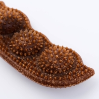 Игрушка для собак "Горох", TPR+Бамбук, массажная, 14 х 3,5 х 5 см Игрушка для собак "Горох", TPR+Бамбук, массажная, 14 х 3,5 х 5 см