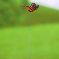 Штекер "Бабочка Дельфиус" 25см, набор 15шт, МИКС Штекер "Бабочка Дельфиус" 25см, набор 15шт, МИКС