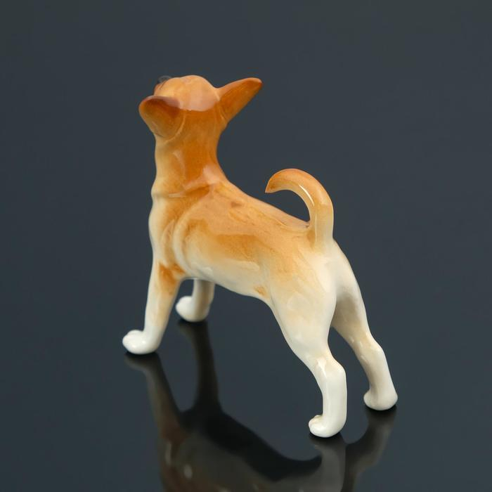 Сувенир "Чихуахуа", ручная работа, фарфор