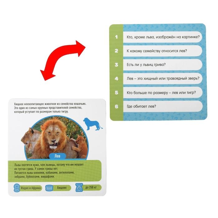 Настольная игра-викторина &laquo;Коробочка знаний. Факты о животных&raquo;, 50 карт, кубик, 5+