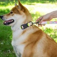 Поводок «Сочное настроение», 2.5 см, 2 м Поводок «Сочное настроение», 2.5 см, 2 м