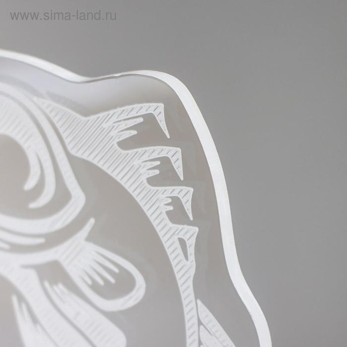 Светильник "Рыбак" LED RGB от сети 9,5х13,5х15 см RISALUX