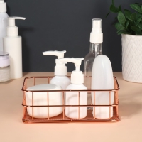 Органайзер для хранения косметических принадлежностей &laquo;РАФАЭЛЬ&raquo;, 17 &times; 12 &times; 5,7 см, цвет бронзовый