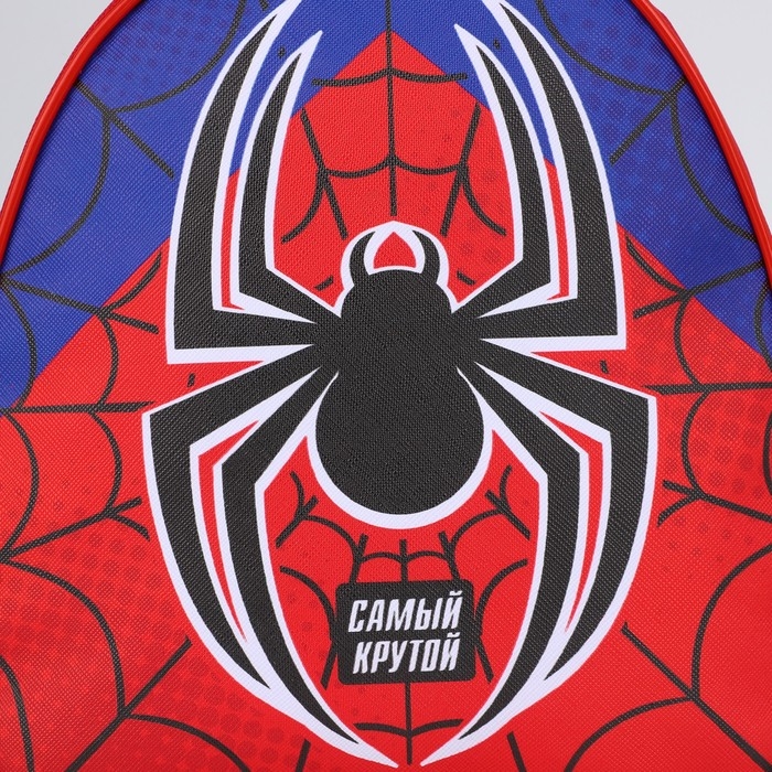 Рюкзак детский для мальчика &laquo;Паучок&raquo;, р-р. 23х20,5 см