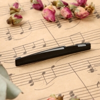 Набор нижних порожков для гитары Music life, 6 штук, 7х0,8х0,25см, черный Набор нижних порожков для гитары Music life, 6 штук, 7х0,8х0,25см, черный