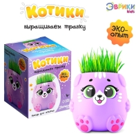 Набор для опытов «Котики. Выращиваем травку», фиолетовый горшочек Набор для опытов «Котики. Выращиваем травку», фиолетовый горшочек