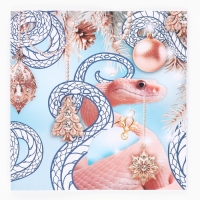 Раскраска антистресс на новый год. Альбом для вдохновения &laquo;Загадай желание&raquo;, 19 страниц, символ года 2025