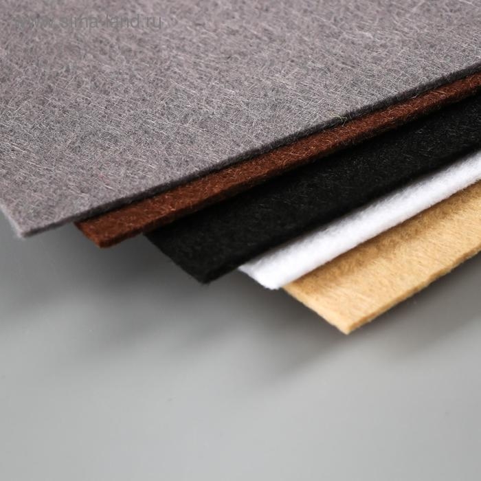 Фетр "BLITZ" 2,2 мм, жёсткий 20х30 см &plusmn; 2 см (набор 5 шт) ассорти №5