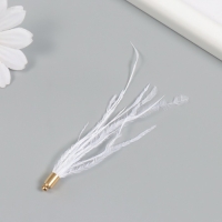 Декор для творчества перо "Кисть Страус" набор 2 шт  белый9х0,5 см