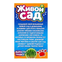 Набор для опытов «Живой сад: Кошечка», цвета МИКС Набор для опытов «Живой сад: Кошечка», цвета МИКС