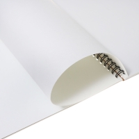 Альбом для акварели А4, 10 листов на спирали, Erich Krause Birds, блок 180 г/м², экстра белая, перфорация для отрыва, твердая подложка Альбом для акварели А4, 10 листов на спирали, Erich Krause Birds, блок 180 г/м², экстра белая, перфорация для отрыва, твердая подложка