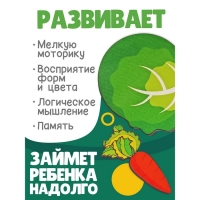 Рамка-вкладыш &laquo;Овощи&raquo;, 5 элементов