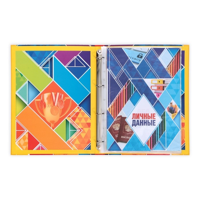 Папка школьная на кольцах &laquo;Портфолио школьника&raquo;, 13 листов-разделителей, 24,5 х 32 см.