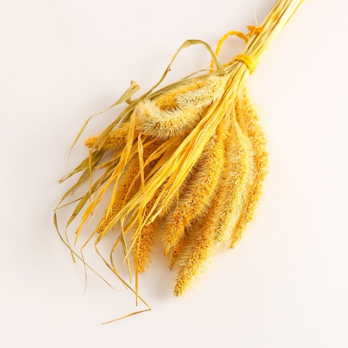Набор сухоцветов "Сетария", банч 7 шт, длина 55-65 (+/- 6 см), желтый
