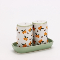 Новый год. Набор для специй &laquo;Апельсины&raquo;, 12 х 6,5 х 7 см