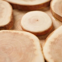 Подставка под горячее «Классика», D=18 см, можжевельник Подставка под горячее «Классика», D=18 см, можжевельник