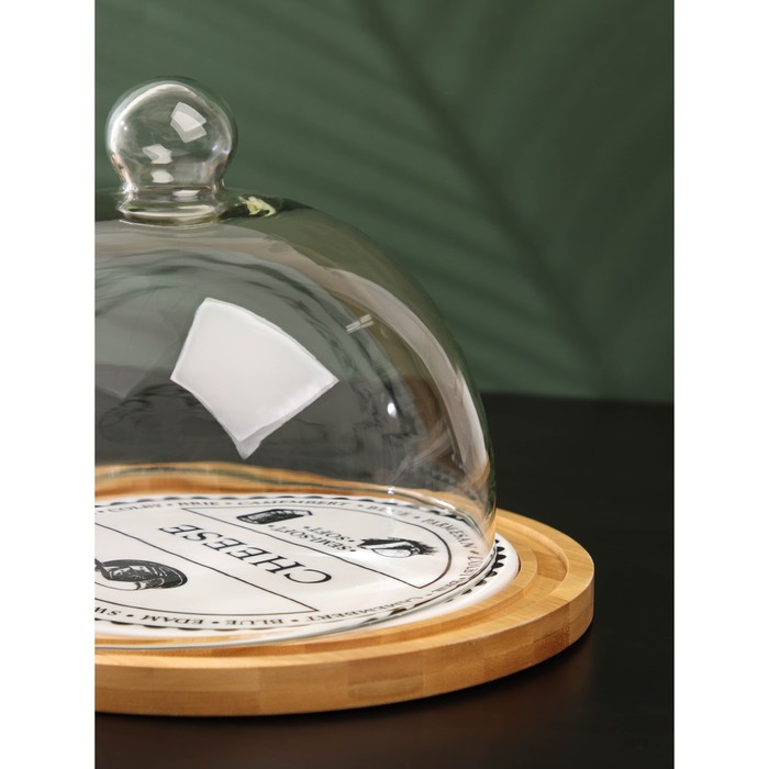 Блюдо для сыра с крышкой &laquo;Эстет&raquo;, 31,5&times;23&times;18 см