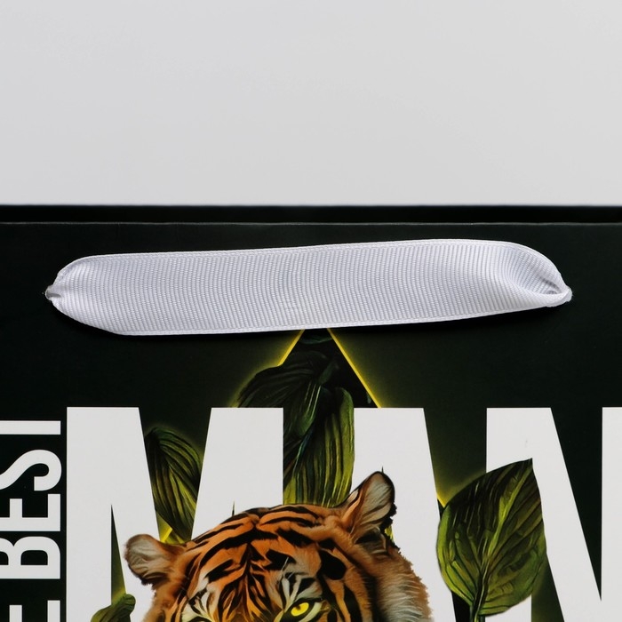 Пакет подарочный ламинированный с пластиковым окном, упаковка, &laquo;Лучшему&raquo;, 30,5 х 25 х 17,5 см