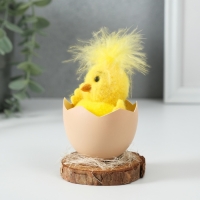 Сувенир "Цыплёнок в скорлупке" 6,2х6,2х13,5 см Сувенир "Цыплёнок в скорлупке" 6,2х6,2х13,5 см