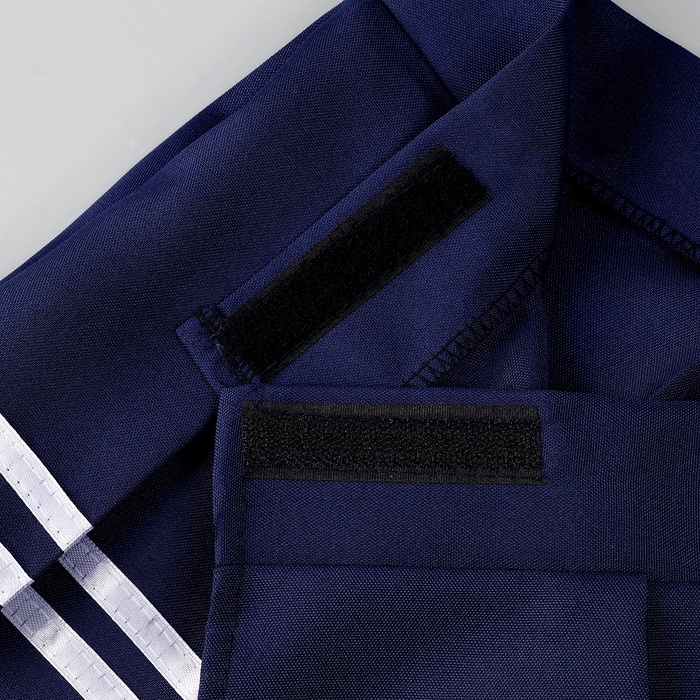 Карнавальный набор &laquo;Каваи тян&raquo;: топ, юбка на липучке, чулки, р-р 38-46, цвет синий